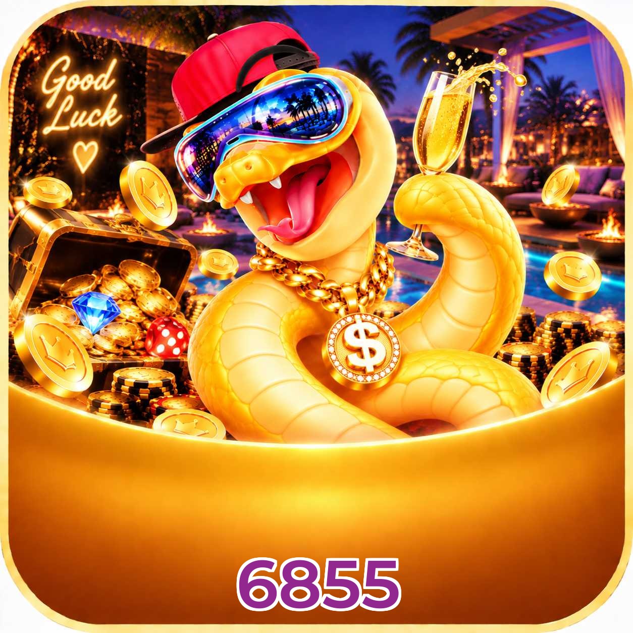 6855 FAQ